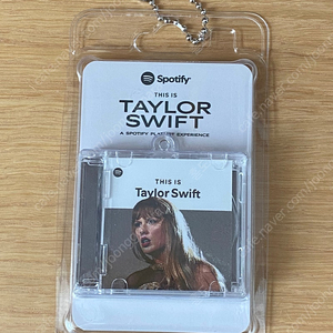 Taylor Swift Reputation 키링 교환