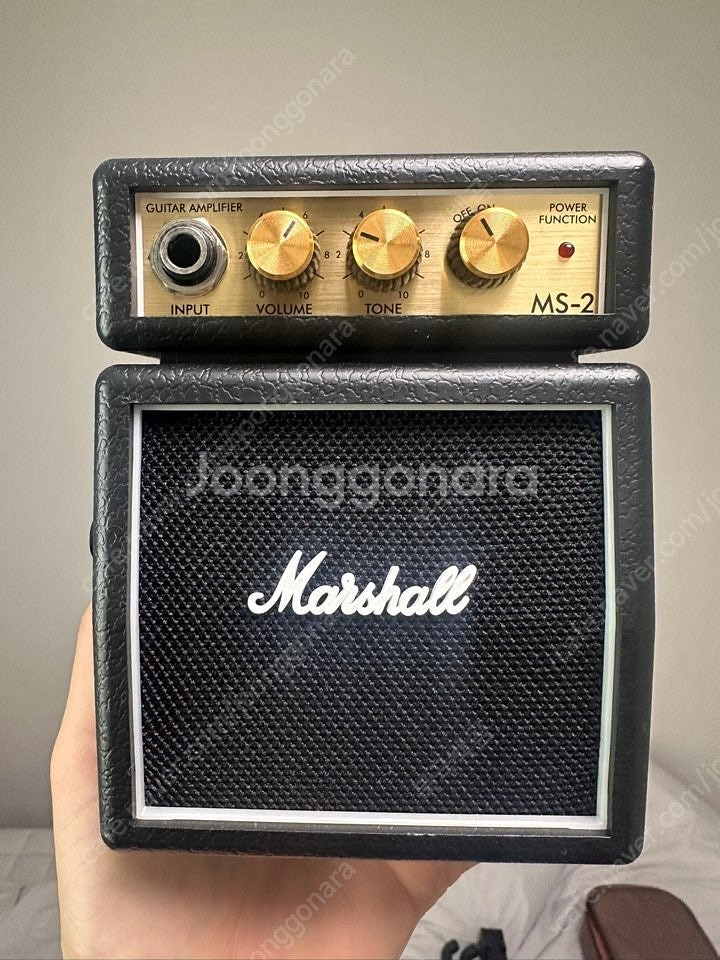 에피폰 카지노 worn 할로우 바디 + 마샬스피커--1