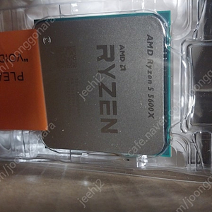 AMD Ryzen 5 5600X