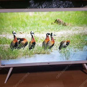 lg42인치 레트로 클레식 tv 부산입니다