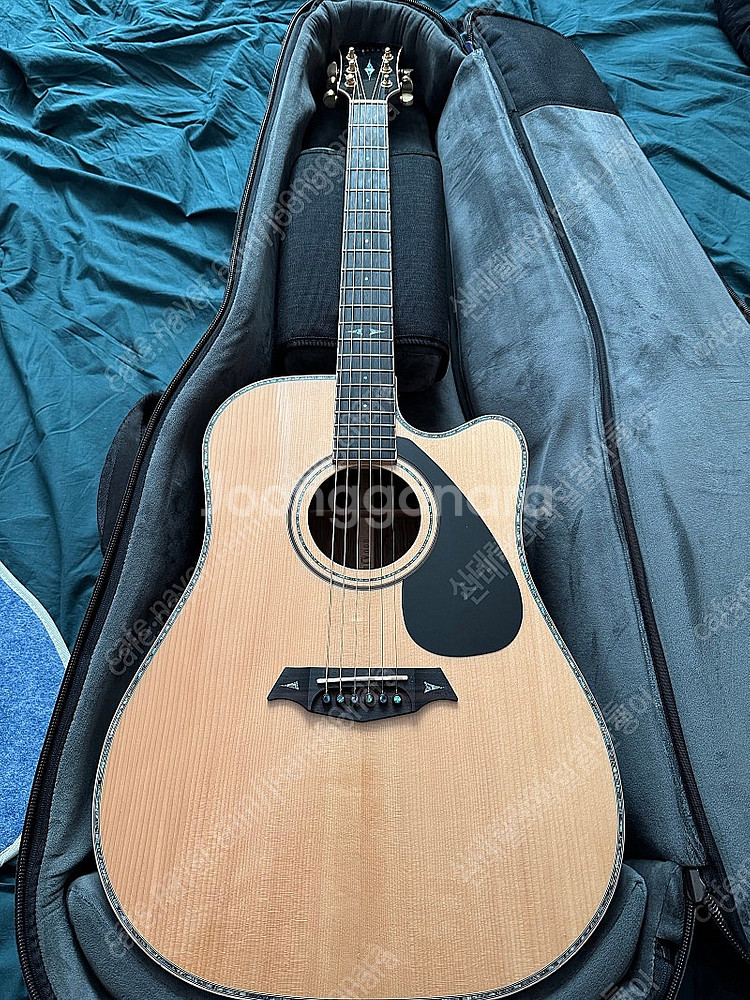 Parkwood p860adk 올솔리드 통기타--0