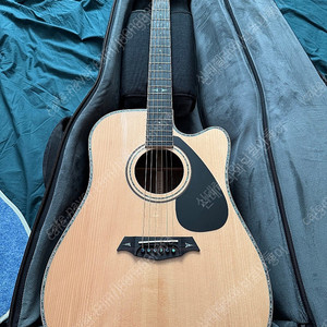 Parkwood p860adk 올솔리드 통기타