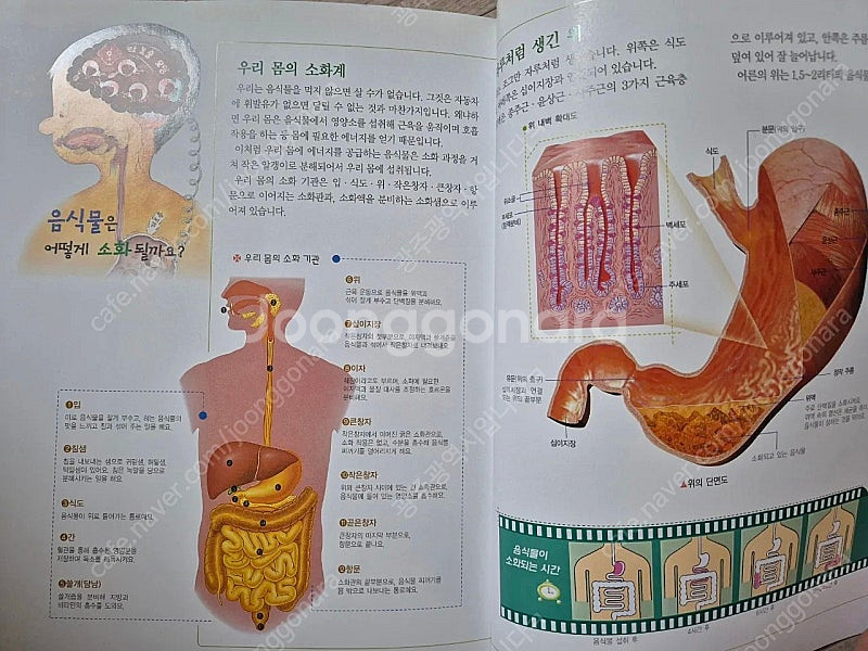 원리친구 과학동화 47권--2