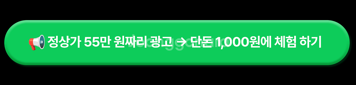 입문용카메라, 펫캠, CCTV추천, 주연CCTV, 니콘...--2