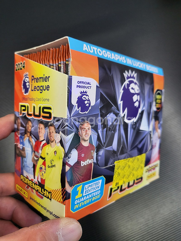 파니니 EPL 축구카드--1