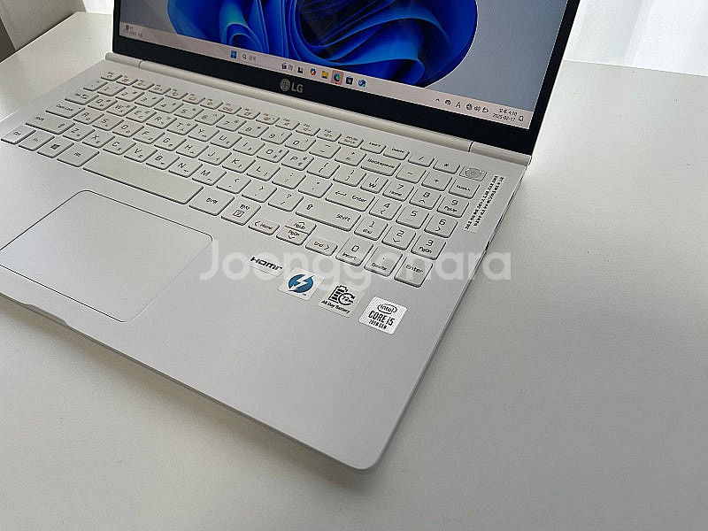 LG전자 그램15 15Z995-VP50ML 램 16GB--2