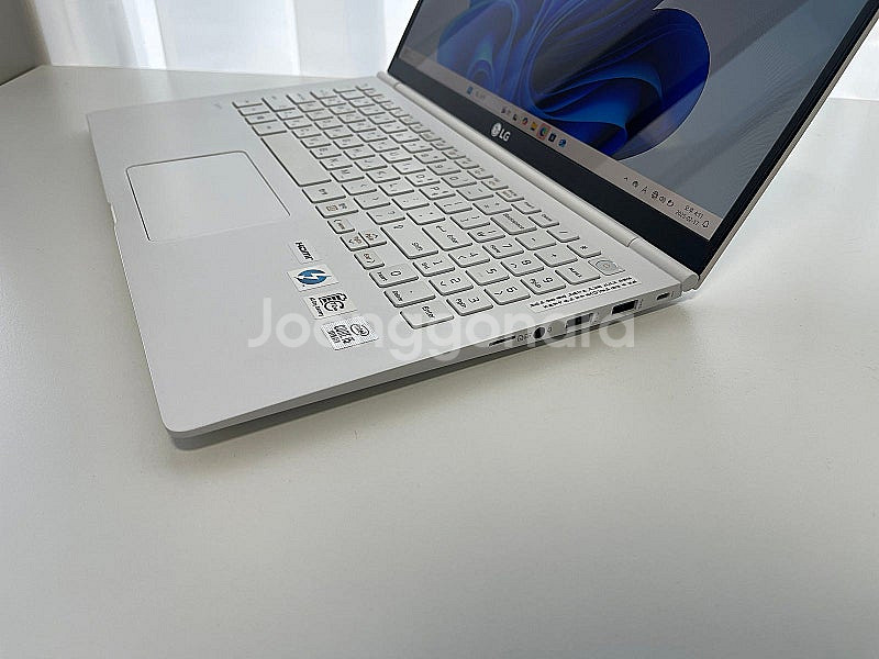 LG전자 그램15 15Z995-VP50ML 램 16GB--4