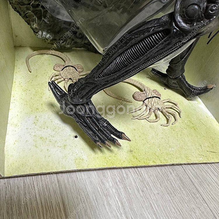 에일리언 프레데터 + 에일리언12인치!--5