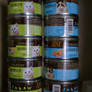 [택포] ANF 고양이 캔 10개 (참치무스5, 참치치킨무스5)