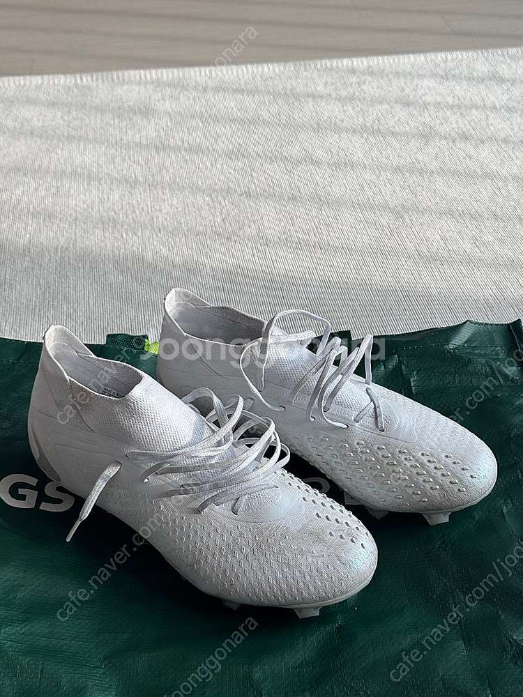 프레데터 애큐러시1 FG(GW4570)--2