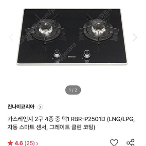 린나이 RBR-P2501D 법랑