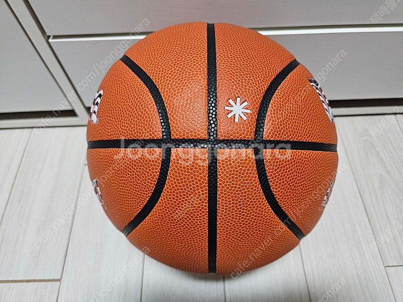윌슨 에볼루션 한정판 농구공--3