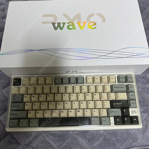 정발 웨이브75 wave75 두유 화이트, HMX 청죽축