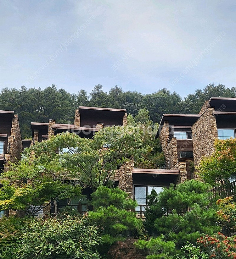 (3월28일29일) 제천 리솜 포레스트 가실분!!--0