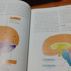 정신건강간호학 JMK 제3판