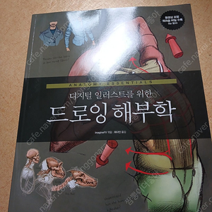 디지털 일러스트를 위한 드로잉 해부학