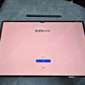 갤럭시탭 s8 울트라 256g wifi