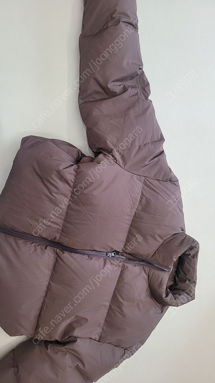 시시아사우르스 크롭패딩--0