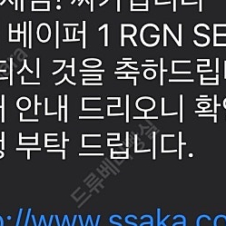 나이키 머큐리얼 베이퍼 1 RGN SE 270 새상품