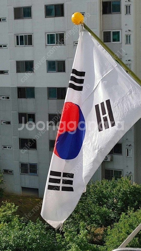 네이버페이포인트 3만원--0