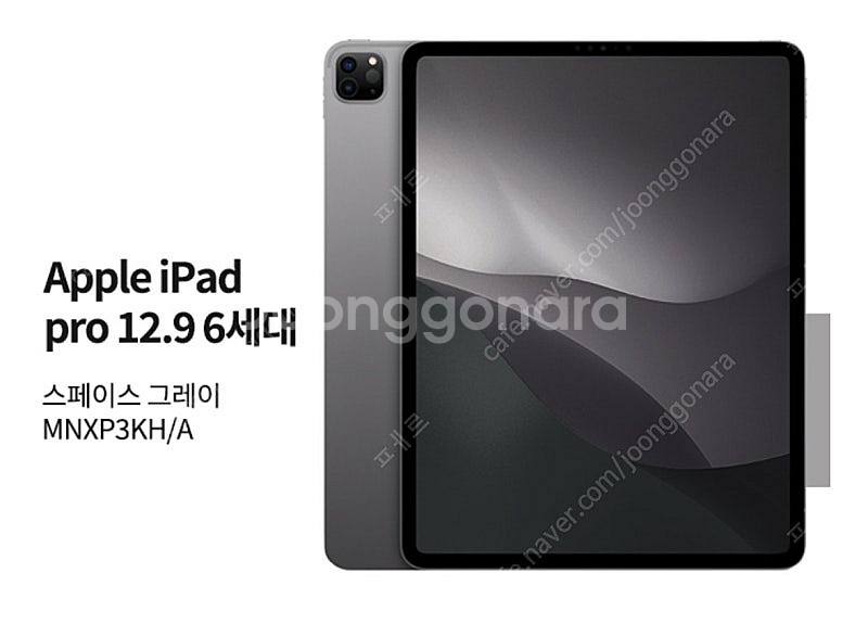 iPad Pro 12.9-inch Wi-Fi Cellu...--0