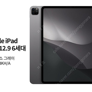 iPad Pro 12.9-inch Wi-Fi Cellular 256GB Space Gray. MP203KH/A 아이패드 프로