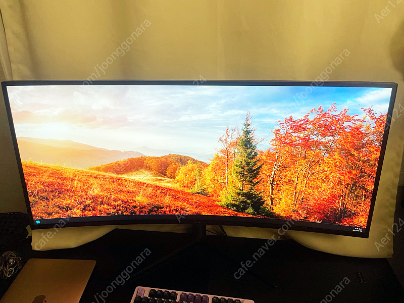 와사비망고 40인치 5K WUHD NANO IPS 패널 커브드 모니터 Artview 400 팝니다.--1