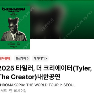 타일러 콘서트 VIP2 양도