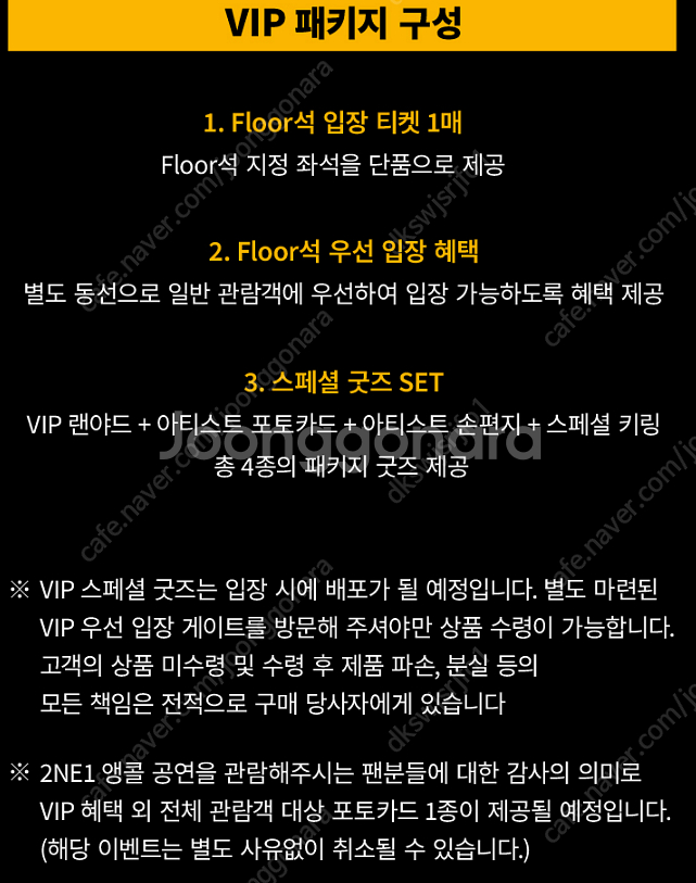 4/12,13 2NE1(투애니원) 서울 앙코르 콘서트 ...--1