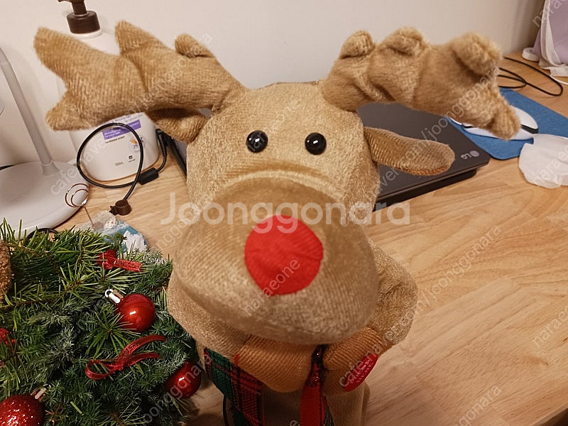 아트박스 말하는 플라밍고 인형 ﻿+ 아트박스 말하는 앵...--2