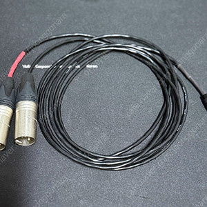 카나레 4.4mm-XLR(수) 밸런스드 변환 Y케이블