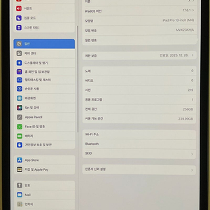[S급/단순오픈] m4 아이패드프로 13인치 256