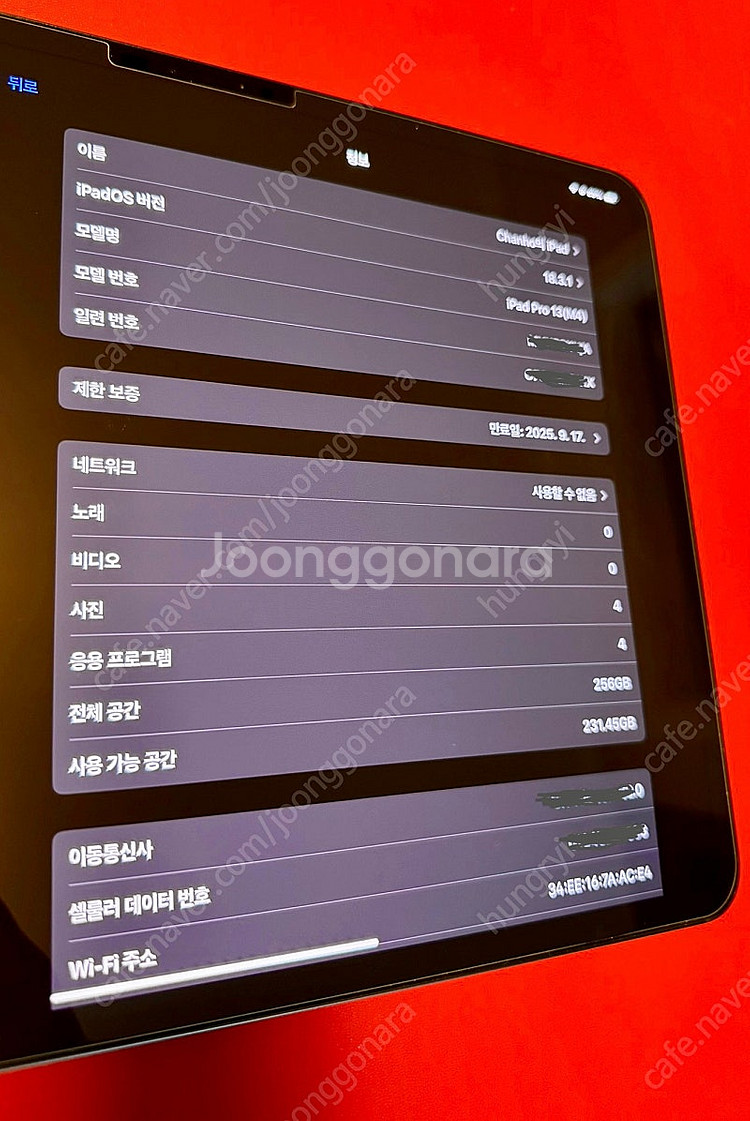 아이패드프로 13인치 M4 256 셀룰러 스페이스그레이...--1