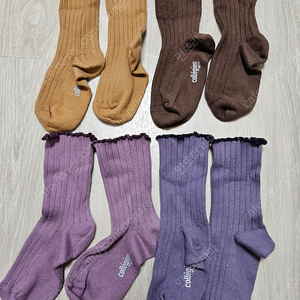 꼴레지앙 앵클 2831
