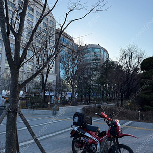 24년 헌터커브 CT125 팝니다.