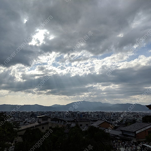 요네즈켄시 요일,자리상관없이 정가양도 구해요