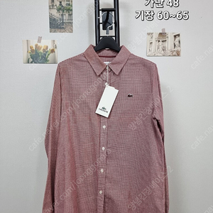 라코스테 정품 여성셔츠 택달린 새상품(m)