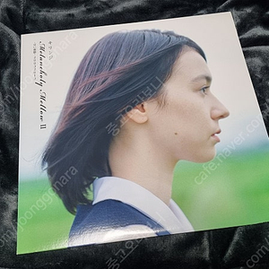 키린지 Melancholy Mellow2 LP