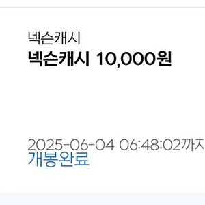 넥슨캐시 22500원