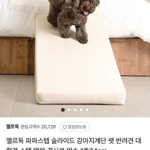 엘르독 파파스텝 강아지 계단