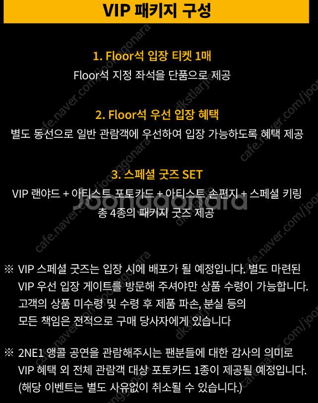 4/12,13 2NE1(투애니원) 서울 앙코르 콘서트 ...--0
