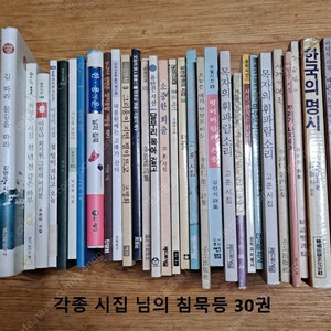 각종 시집 30권 묶음 2셋트