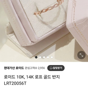 로이드 14K 반지