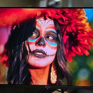 MSI MPG 321URX QD-OLED 240 4K UHD 모니터
