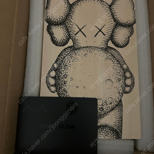 카우스 브론즈 나이트 글로우(KAWS Bronze NIGHT GLOW)