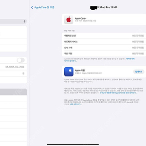 아이패드 프로 11 M4 256gb wifi 실버 + 애케플