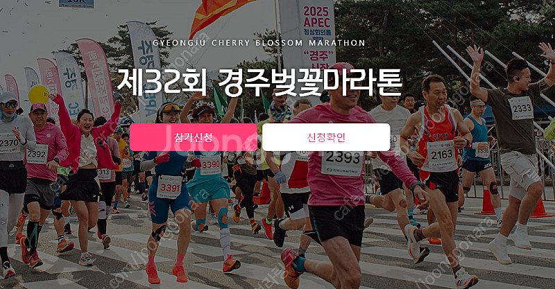 경주 벚꽃 마라톤 10km 남자 배번 구합니다--0