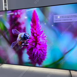 (새상품/단순개봉/3년무상AS/무료배송) 삼성 스마트TV 65인치 2023 LED Crystal UHD 4K (KU65UC8000FXKR)