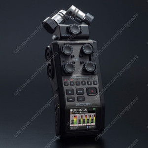 ZOOM H6 핸디 RECORDER (줌 H6 레코더)
