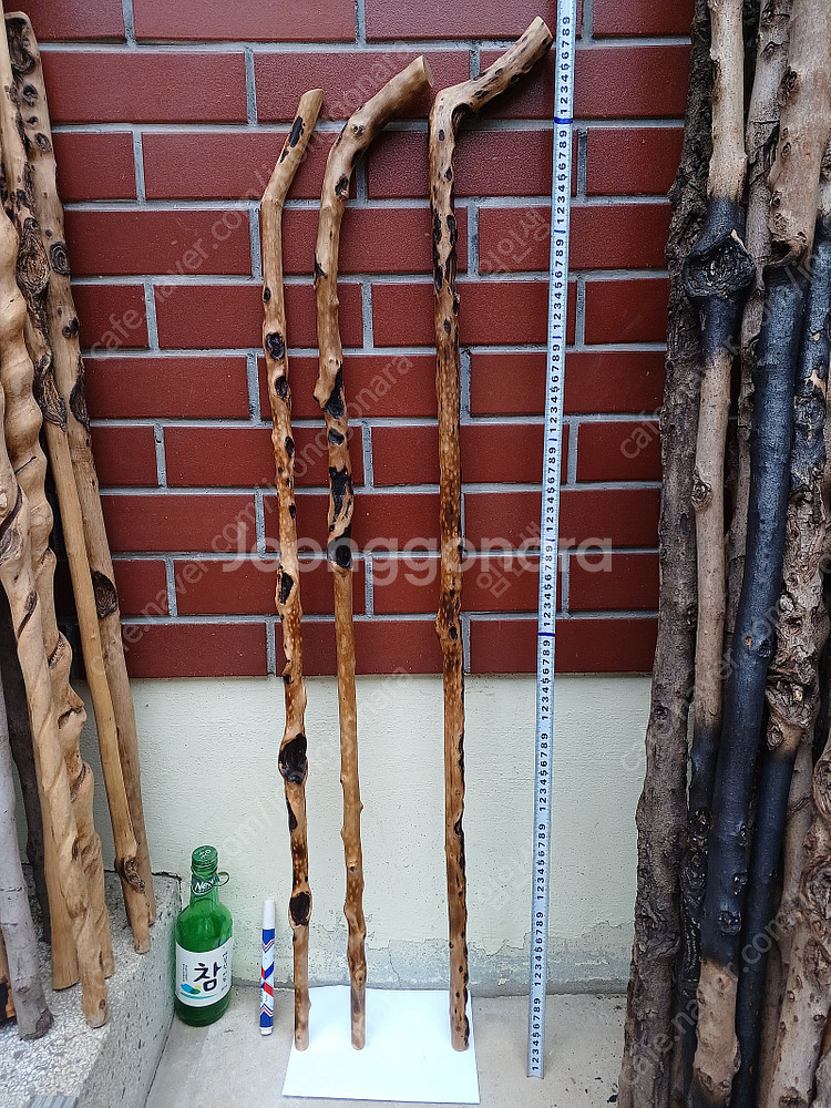 연수목 등산스틱 지팡이--2